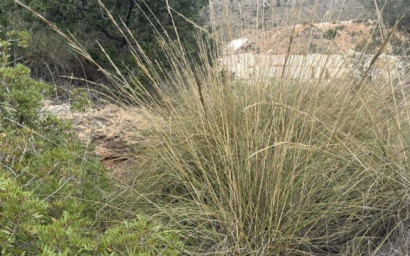 Resale - Land -
La Romana