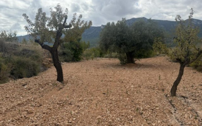 Resale - Land -
La Romana