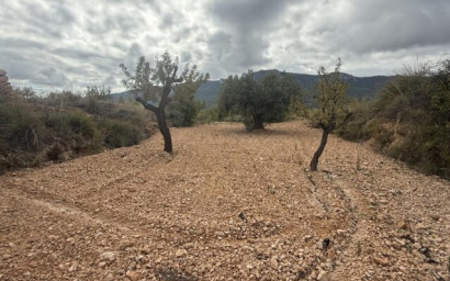 Resale - Land -
La Romana