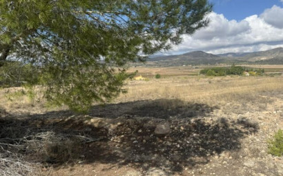 Resale - Land -
Monovar