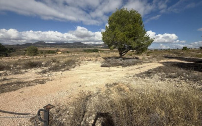 Resale - Land -
Monovar