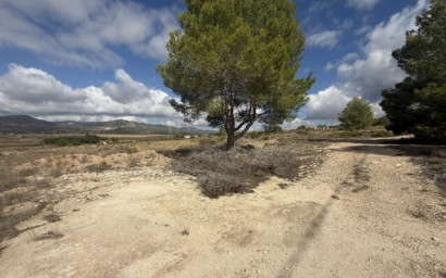 Resale - Land -
Monovar