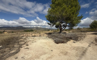 Resale - Land -
Monovar