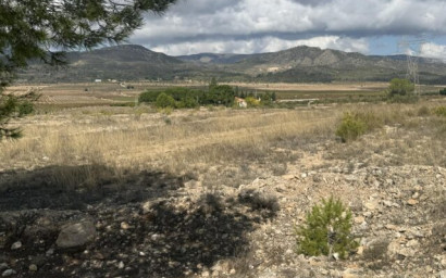 Resale - Land -
Monovar