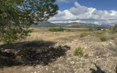 Resale - Land -
Monovar