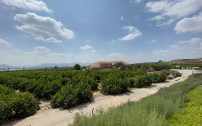 Resale - Finca / Country Property -
Orihuela Costa - Orihuela