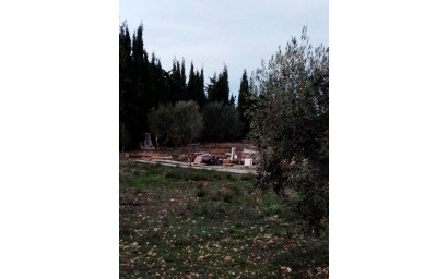 Resale - Finca / Country Property -
Caudete