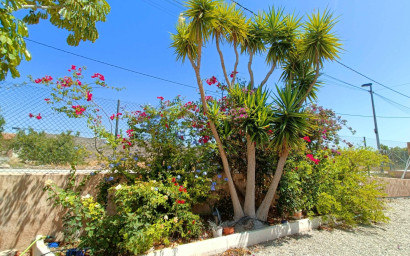 Resale - Villa -
Abanilla