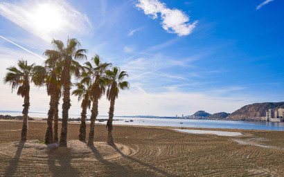 Nieuwbouw - Villa -
Els Poblets - Partida Barranquets