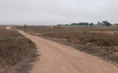 Herverkoop - Landhuis -
Yecla