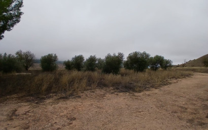 Herverkoop - Landhuis -
Yecla