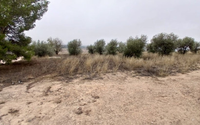 Herverkoop - Landhuis -
Yecla