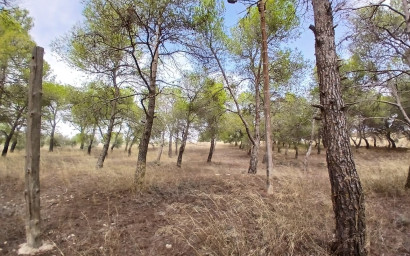 Herverkoop - Landhuis -
Yecla