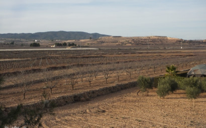 Resale - Finca / Country Property -
Pinoso - Pinoso Alicante