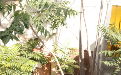 Resale - Townhouse -
Peña de la Zafra de Arriba - Peña de la Zafra de Arriba Murcia