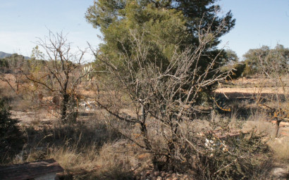 Revente - Maison de campagne -
Lel - Lel Alicante