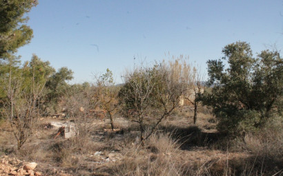 Revente - Maison de campagne -
Lel - Lel Alicante