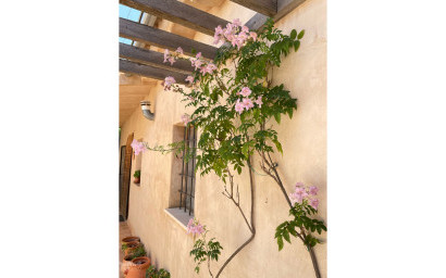 Resale - Finca / Country Property -
Raspay - Raspay Murcia