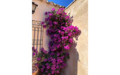 Resale - Finca / Country Property -
Raspay - Raspay Murcia