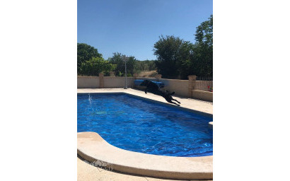 Resale - Finca / Country Property -
Raspay - Raspay Murcia