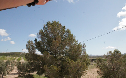 Resale - Finca / Country Property -
Cañada del Trigo - Canada del Trigo Murcia