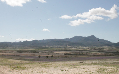 Resale - Finca / Country Property -
Cañada del Trigo - Canada del Trigo Murcia