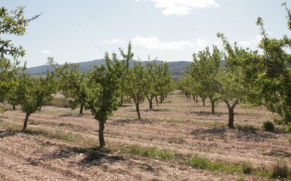 Resale - Finca / Country Property -
Cañada del Trigo - Canada del Trigo Murcia