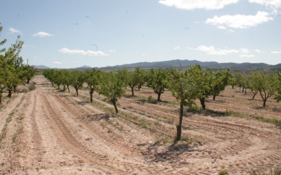 Resale - Finca / Country Property -
Cañada del Trigo - Canada del Trigo Murcia