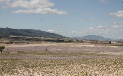 Resale - Finca / Country Property -
Cañada del Trigo - Canada del Trigo Murcia