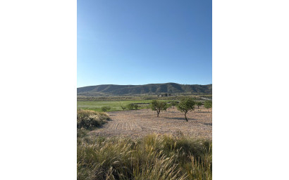 Resale - Finca / Country Property -
Cañada del Trigo - Canada del Trigo Murcia