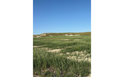 Resale - Finca / Country Property -
Cañada del Trigo - Canada del Trigo Murcia