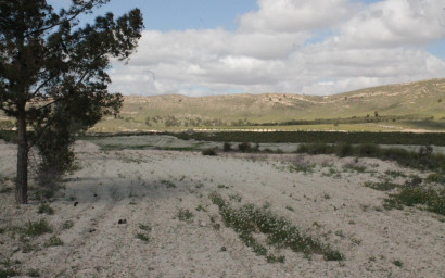 Resale - Finca / Country Property -
Cañada del Trigo - Canada del Trigo Murcia