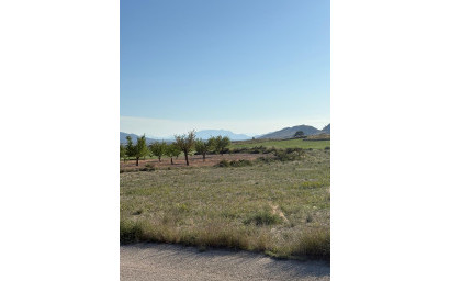 Resale - Finca / Country Property -
Cañada del Trigo - Canada del Trigo Murcia