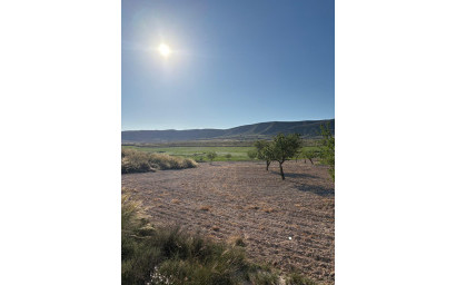 Resale - Finca / Country Property -
Cañada del Trigo - Canada del Trigo Murcia