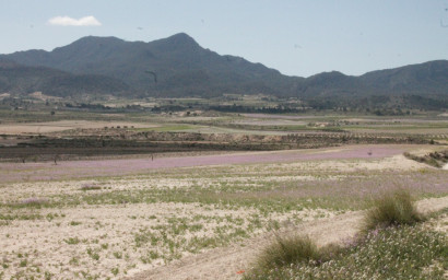 Resale - Finca / Country Property -
Cañada del Trigo - Canada del Trigo Murcia