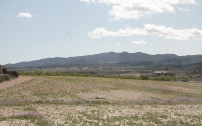 Resale - Finca / Country Property -
Cañada del Trigo - Canada del Trigo Murcia