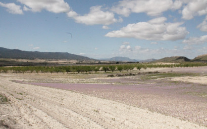 Resale - Finca / Country Property -
Cañada del Trigo - Canada del Trigo Murcia