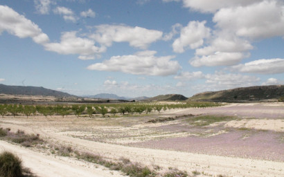 Resale - Finca / Country Property -
Cañada del Trigo - Canada del Trigo Murcia