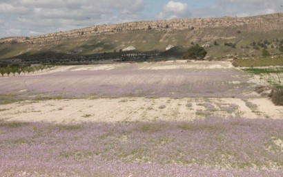 Resale - Finca / Country Property -
Cañada del Trigo - Canada del Trigo Murcia