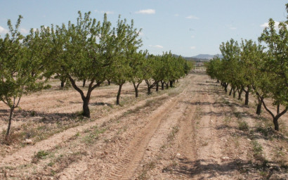 Resale - Finca / Country Property -
Cañada del Trigo - Canada del Trigo Murcia