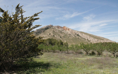 Revente - Maison de campagne -
Villena - Villena Alicante