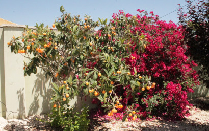 Resale - Villa -
Abanilla - Abanilla Murcia