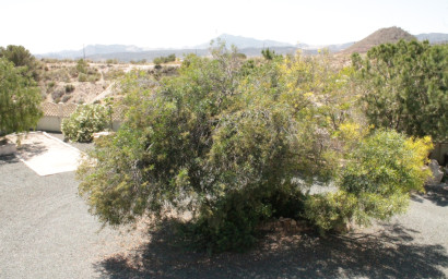 Resale - Villa -
Abanilla - Abanilla Murcia