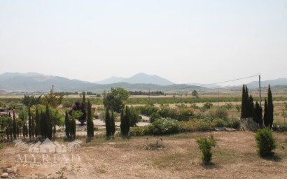 Resale - Finca / Country Property -
Pinoso - Pinoso Alicante