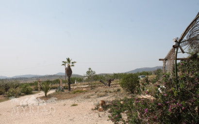 Resale - Finca / Country Property -
Pinoso - Pinoso Alicante