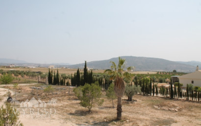 Resale - Finca / Country Property -
Pinoso - Pinoso Alicante