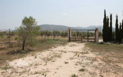 Resale - Finca / Country Property -
Pinoso - Pinoso Alicante