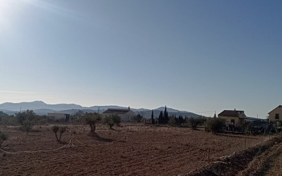 Resale - Finca / Country Property -
Pinoso - Pinoso Alicante