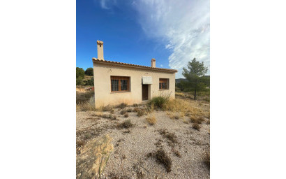 Resale - Land -
Pinoso - Pinoso Alicante