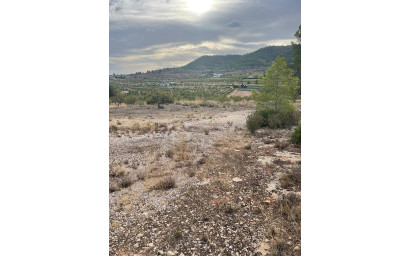 Resale - Land -
Pinoso - Pinoso Alicante
